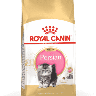 רויאל קנין מזון לגור חתולים פרסי גור