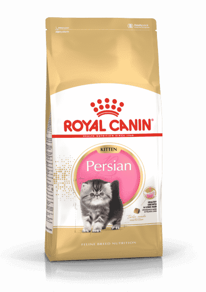רויאל קנין מזון לגור חתולים פרסי גור