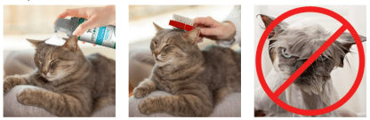 שמפו- יבש -לחתולים ללא מים 150 מל וטס בסטס