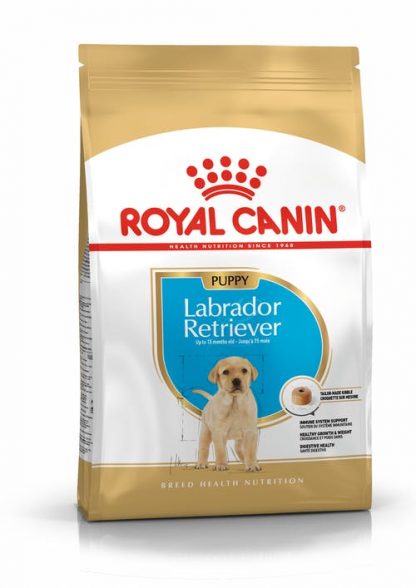 רויאל קנין מזון לכלב – גורים לברדור רטריבר