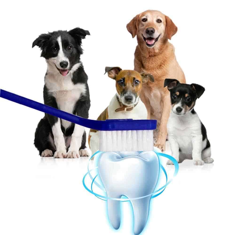 מוצרים לניקוי שיניים לכלבים