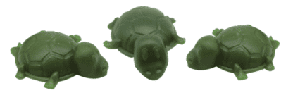 עצם דנטלי לכלב צבי ים