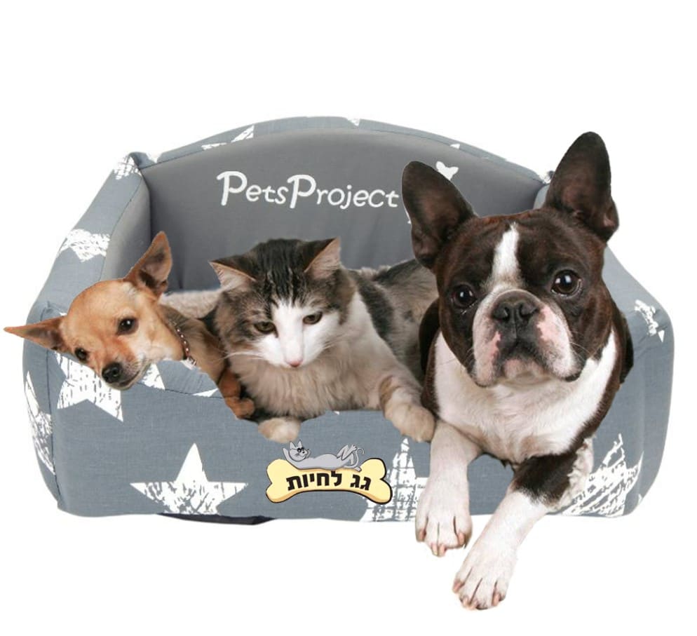 מיטת פטס פרוג'קט מכותנה לכלבים וחתולים