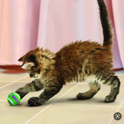 משחק לחתול קונג כדורי טנים עם 3פעמונים