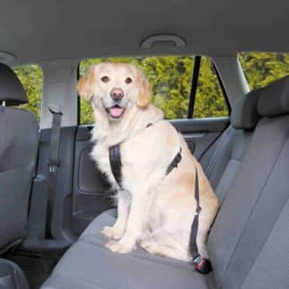 רתמת בטיחות לרכב לכלבים גודל לארג טרי
