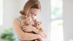 ילדה מחזיקה חתולים