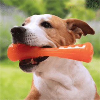 ביוניק -מקל אורבן משחק קשיח לכלבים